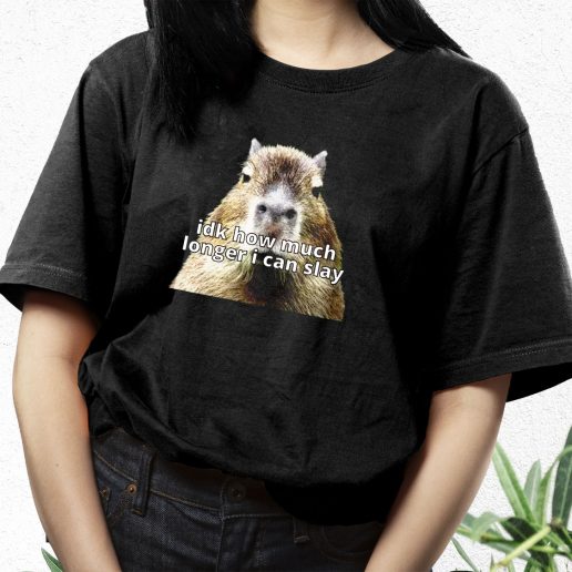 Aesthetic T Shirt Dk How Much Longer I Can Slay Capybara Sarcastic Dank 1