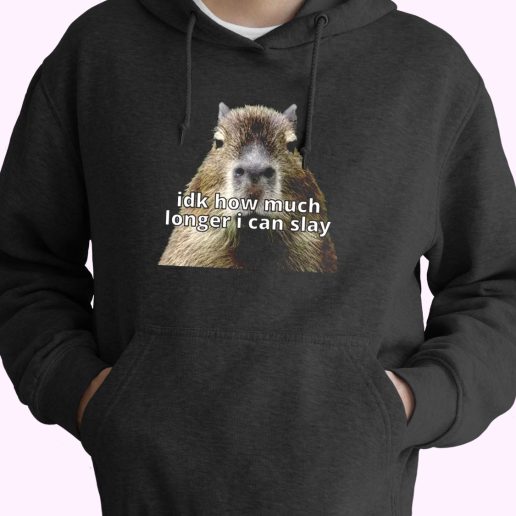 Dk How Much Longer I Can Slay Capybara Sarcastic Dank Funny Hoodie Streetwear 1