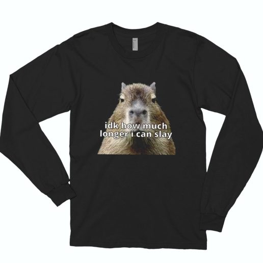 Dk How Much Longer I Can Slay Capybara Sarcastic Dank Funny Long Sleeve T Shirt 1