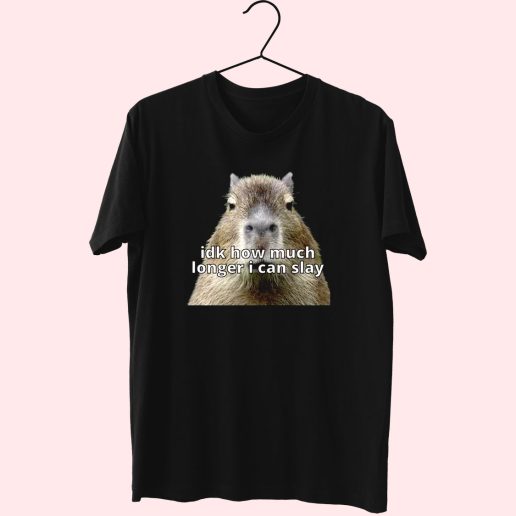 Dk How Much Longer I Can Slay Capybara Sarcastic Dank Funny T Shirt 1